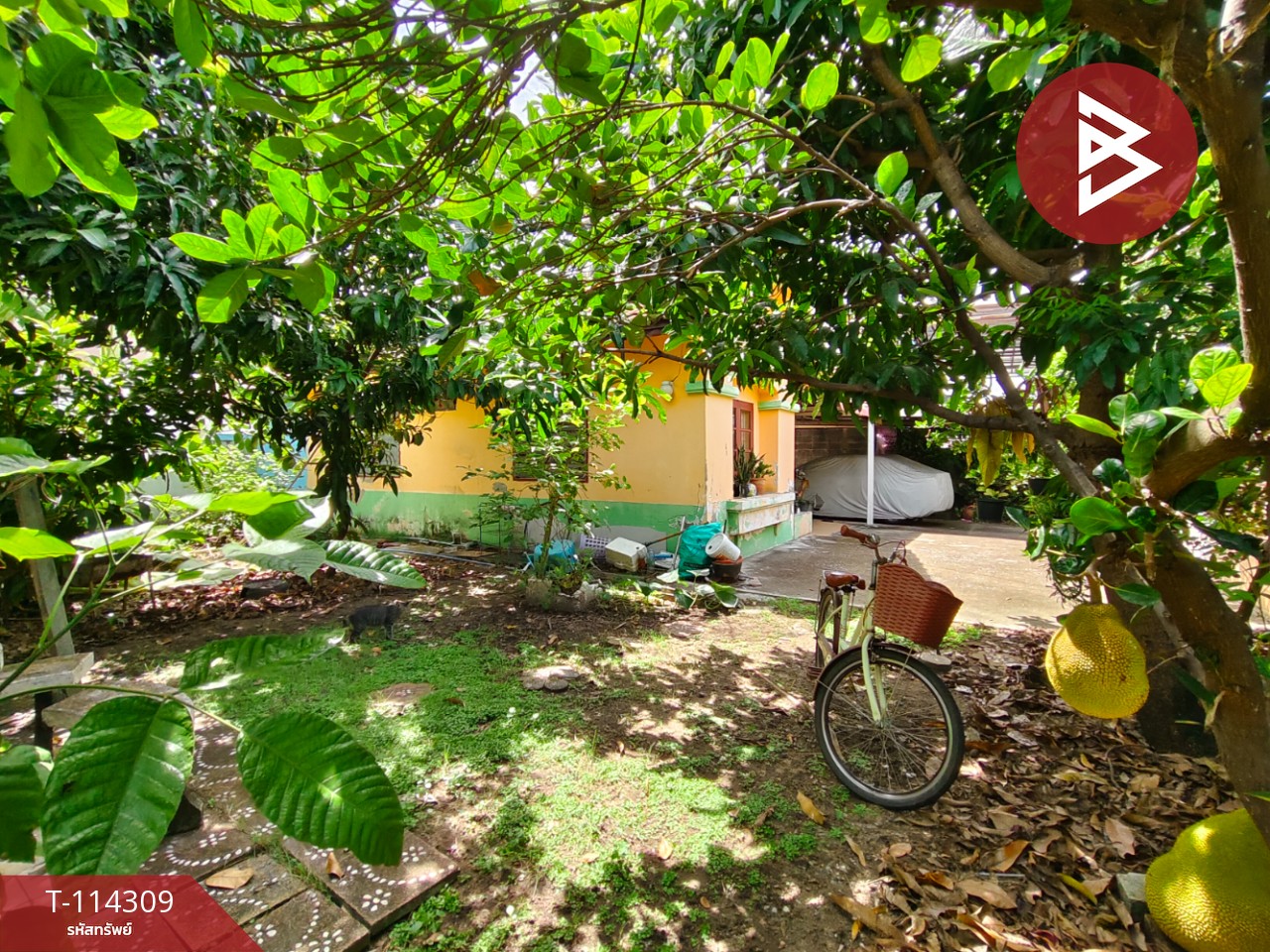 Property image 16