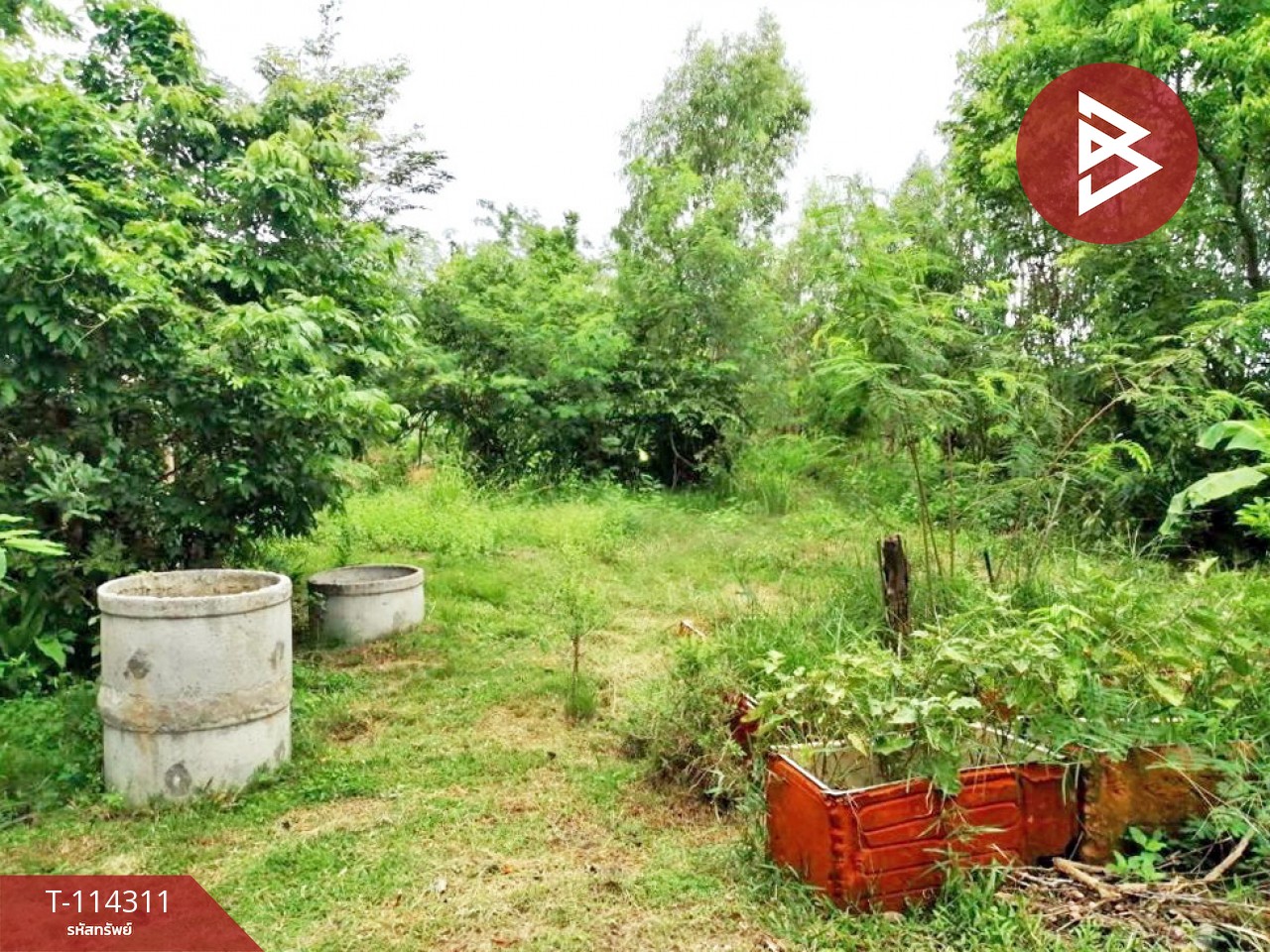 Property image 8