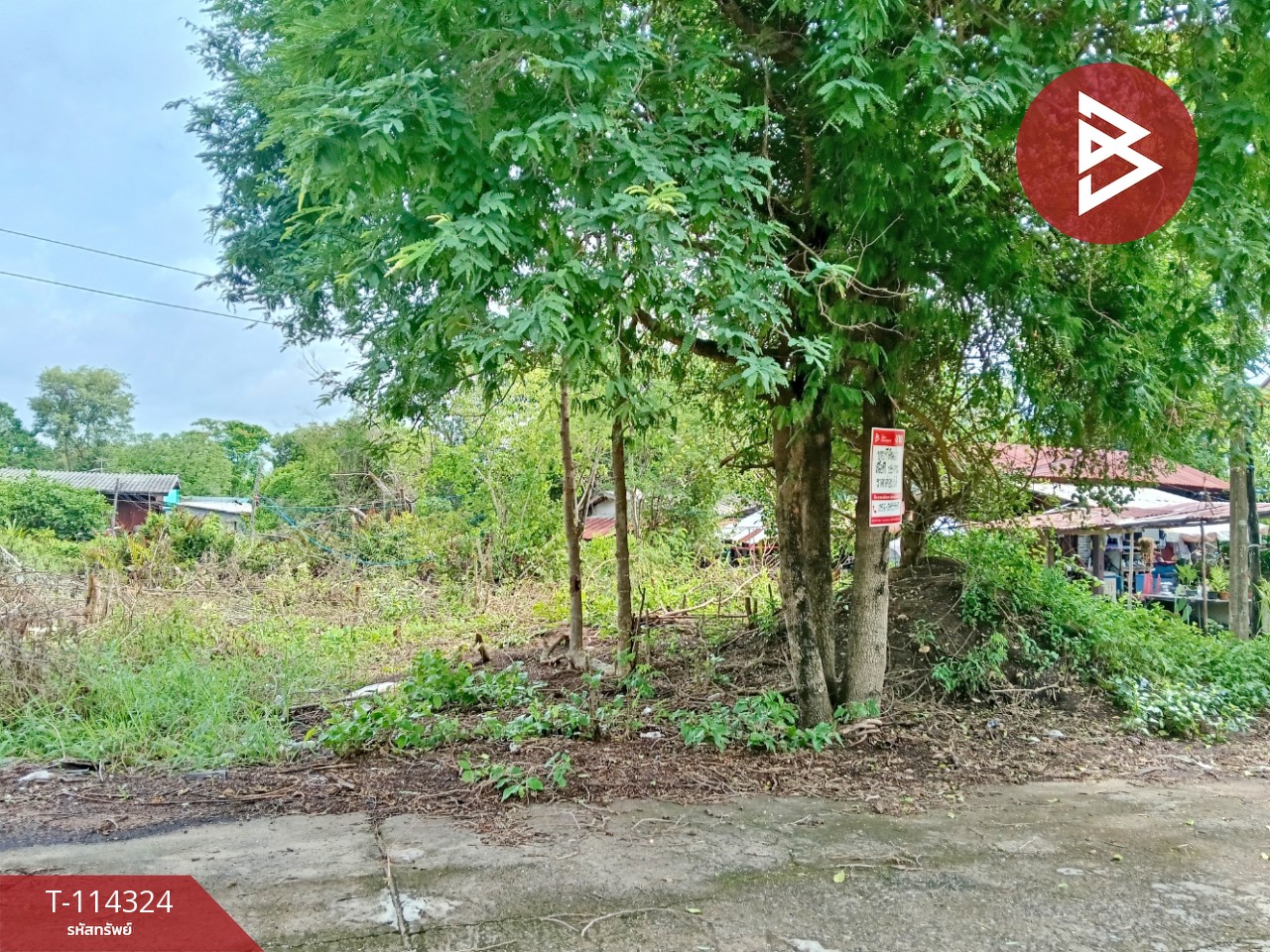 ขายที่ดิน เนื้อที่ 1 งาน 54 ตร.วา บ้านโพธิ์ ฉะเชิงเทรา 14