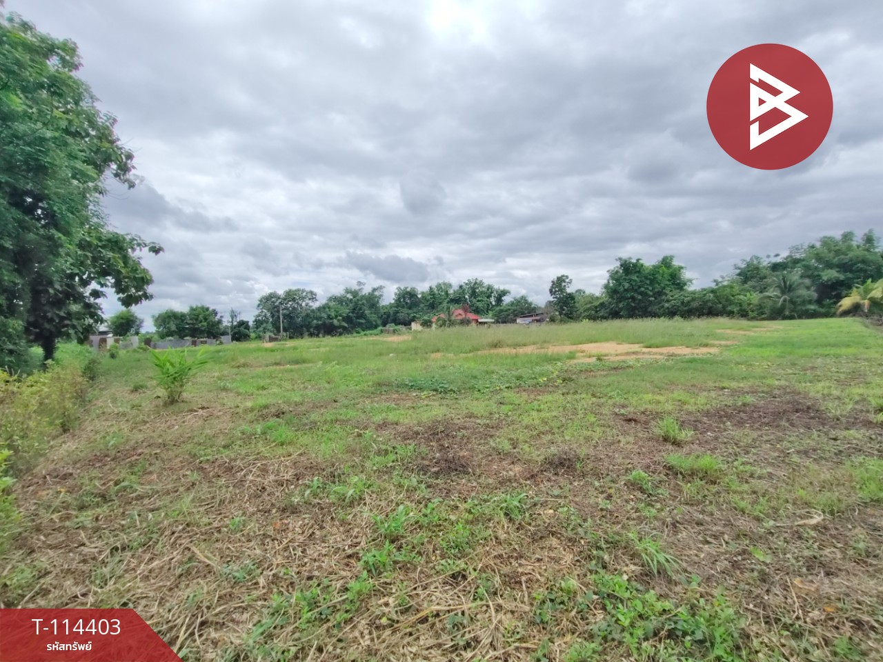 ขายที่ดิน เนื้อที่ 2 ไร่ 80 ตร.วา หาดกรวด อุตรดิตถ์ 8