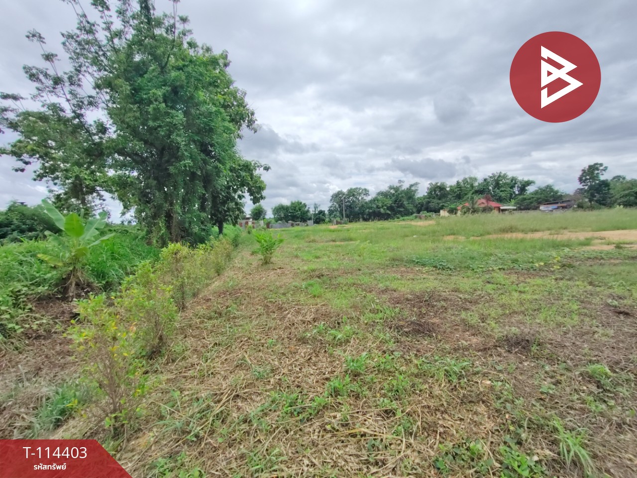 ขายที่ดิน เนื้อที่ 2 ไร่ 80 ตร.วา หาดกรวด อุตรดิตถ์ 11