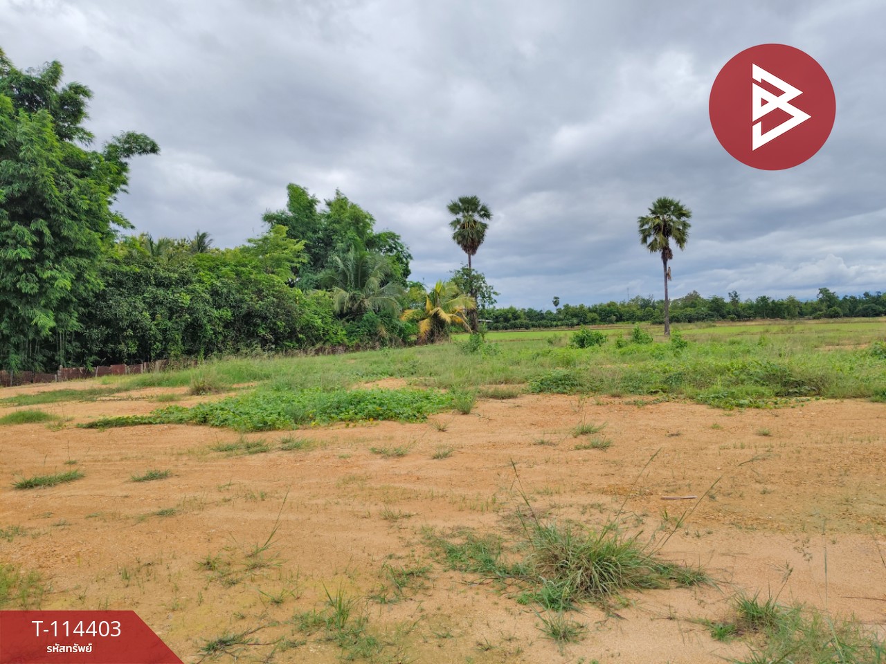 ขายที่ดิน เนื้อที่ 2 ไร่ 80 ตร.วา หาดกรวด อุตรดิตถ์ 12