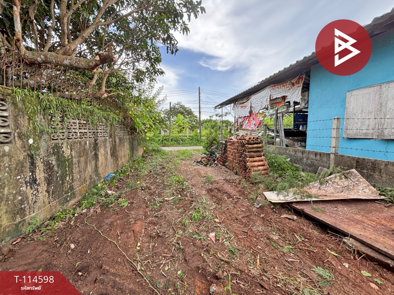 Property image 10