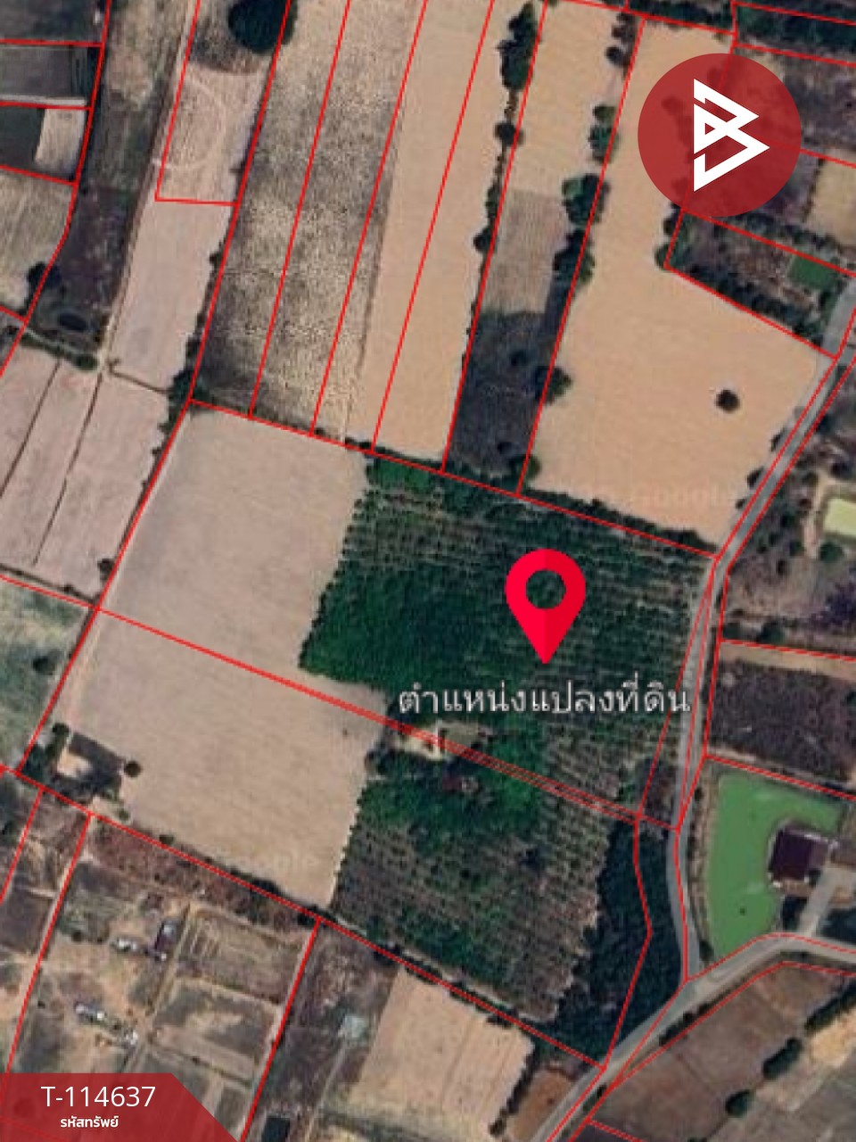 ขายที่ดิน เนื้อที่ 21 ไร่ 3 งาน 52 ตร.วา ยางตลาด กาฬสินธุ์ 11