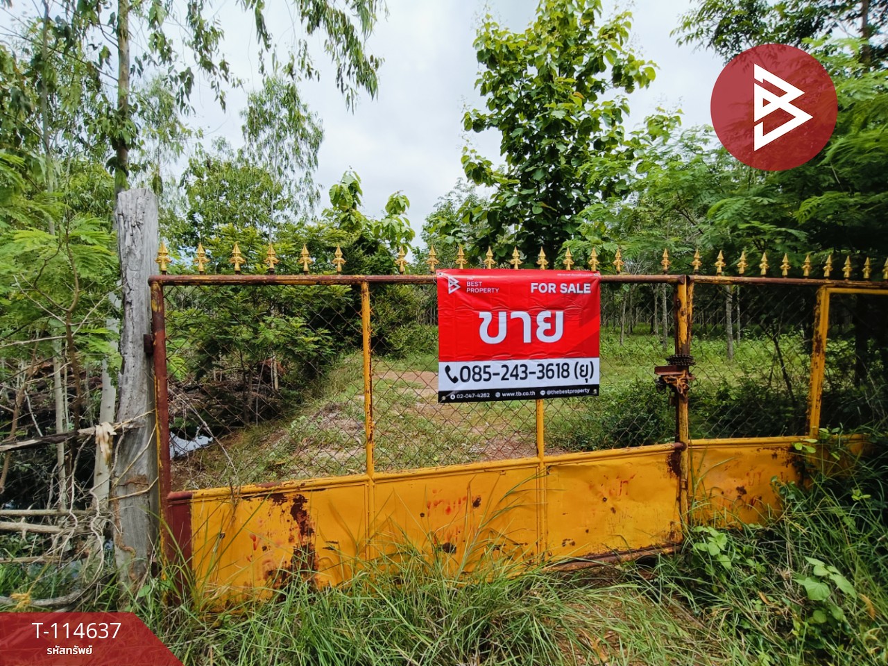 ขายที่ดิน เนื้อที่ 21 ไร่ 3 งาน 52 ตร.วา ยางตลาด กาฬสินธุ์ 1