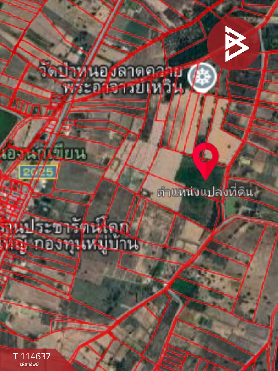 ขายที่ดิน เนื้อที่ 21 ไร่ 3 งาน 52 ตร.วา ยางตลาด กาฬสินธุ์ 12