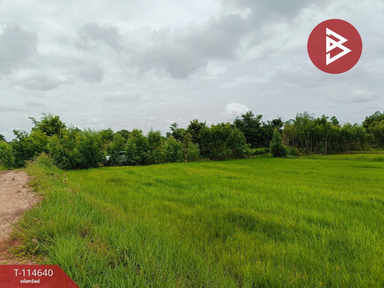 ขายที่ดิน เนื้อที่ 15 ไร่ 40.9 ตร.วา ยางตลาด กาฬสินธุ์ 3