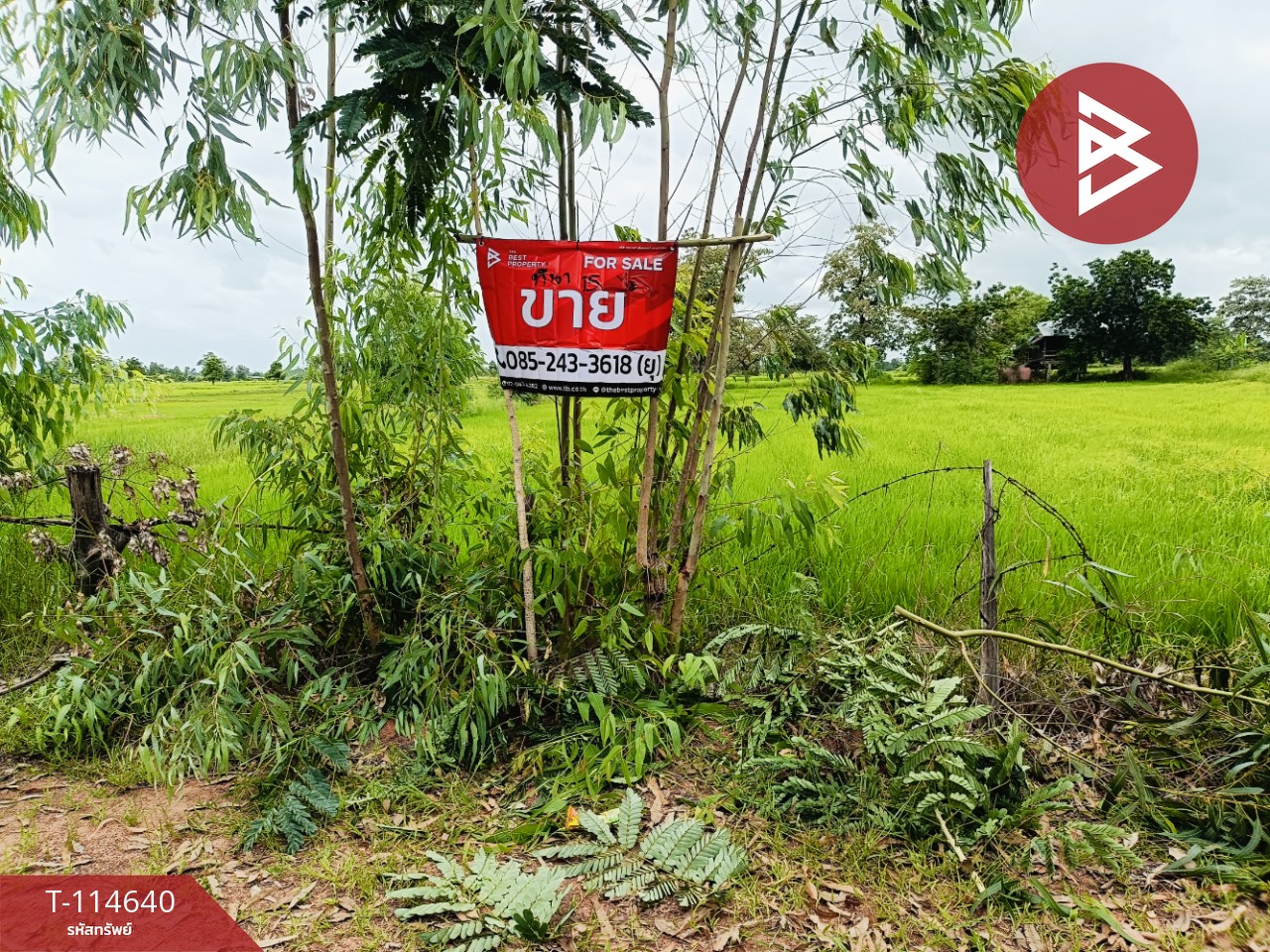 ขายที่ดิน เนื้อที่ 15 ไร่ 40.9 ตร.วา ยางตลาด กาฬสินธุ์ 2