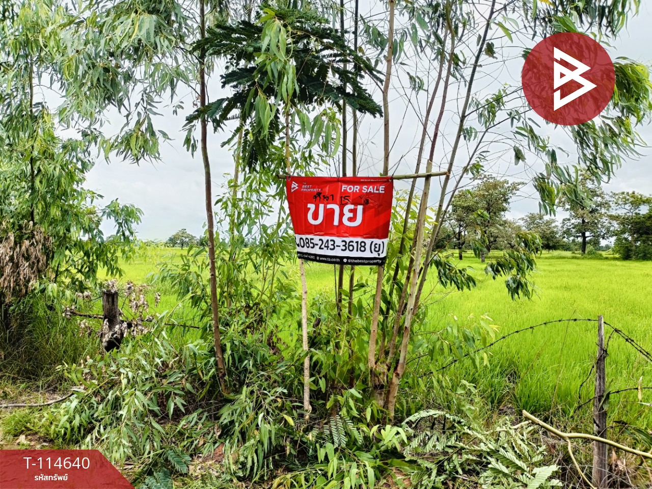 ขายที่ดิน เนื้อที่ 15 ไร่ 40.9 ตร.วา ยางตลาด กาฬสินธุ์ 1