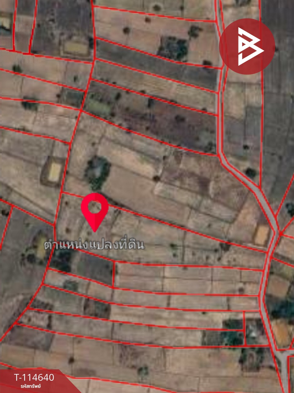 ขายที่ดิน เนื้อที่ 15 ไร่ 40.9 ตร.วา ยางตลาด กาฬสินธุ์ 10