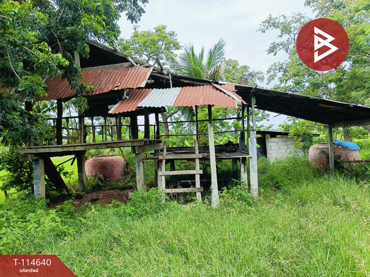 ขายที่ดิน เนื้อที่ 15 ไร่ 40.9 ตร.วา ยางตลาด กาฬสินธุ์ 9