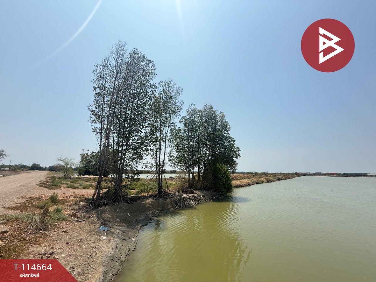 ขายที่ดิน เนื้อที่ 212 ไร่ 3 งาน 47 ตร.วา พันท้ายนรสิงห์ สมุทรสาคร 9