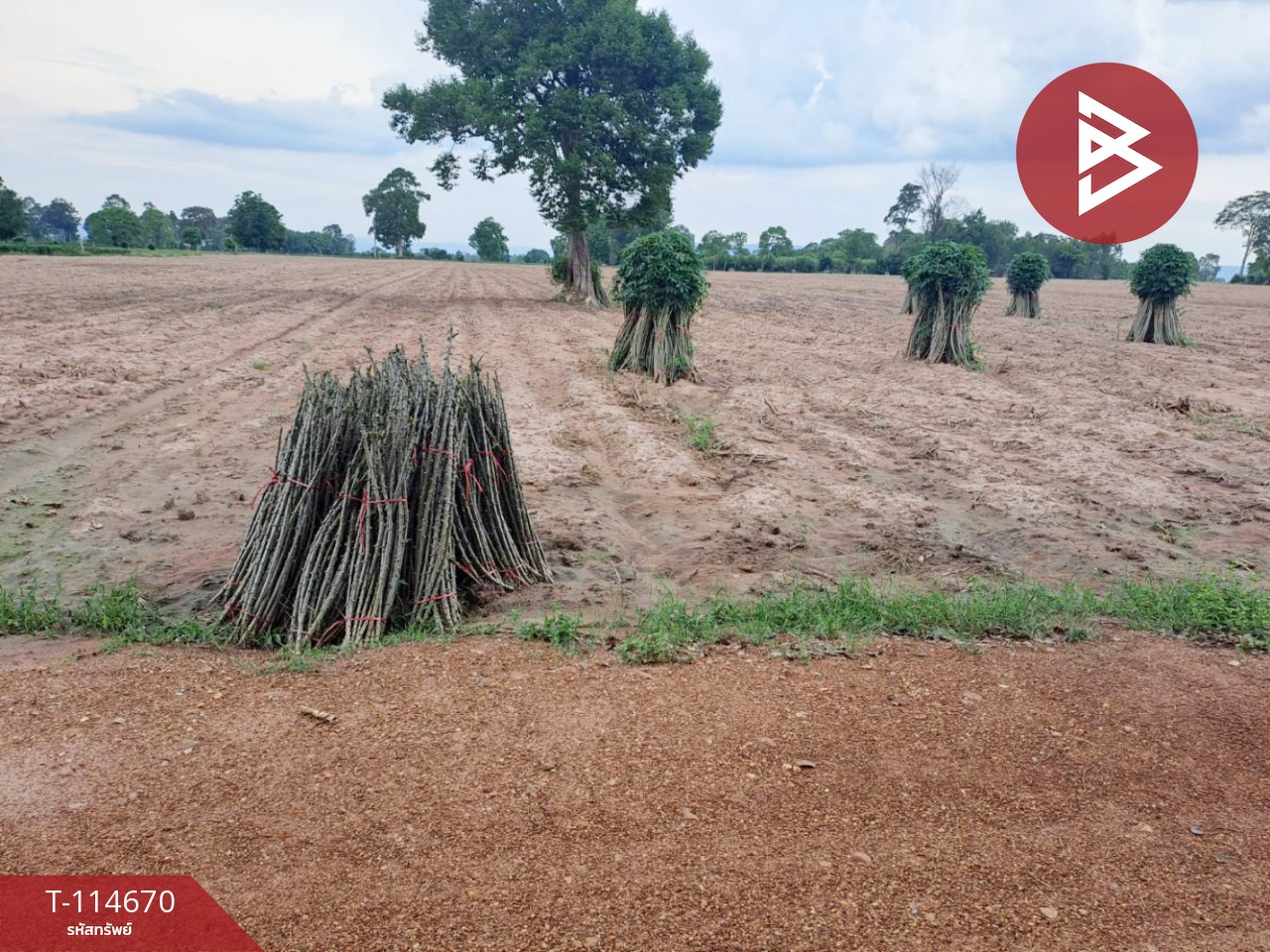 ขายที่ดิน เนื้อที่ 3 ไร่ 1 งาน 84 ตร.วา วัฒนานคร สระแก้ว 1