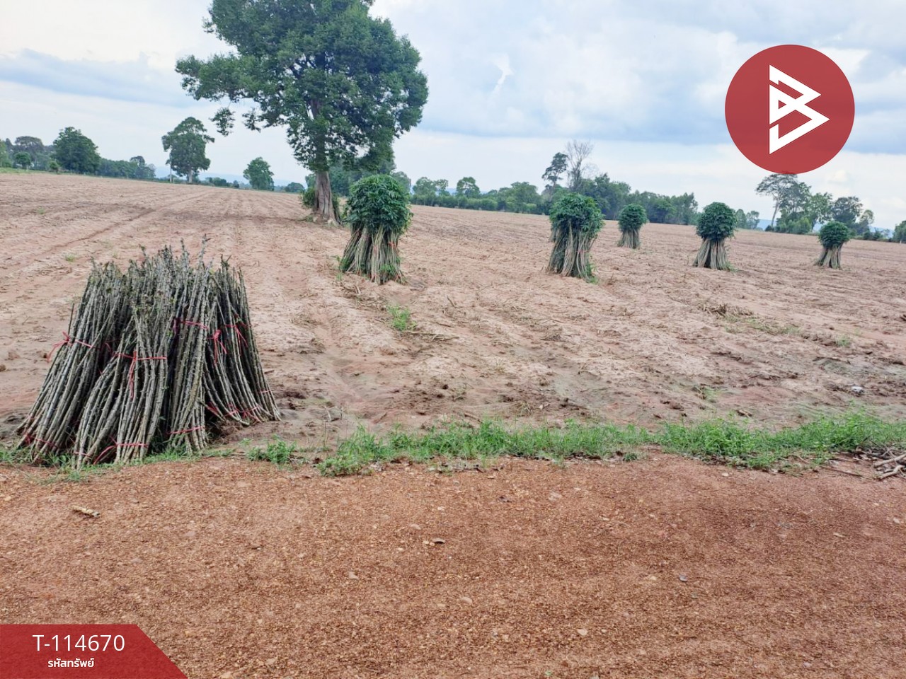 ขายที่ดิน เนื้อที่ 3 ไร่ 1 งาน 84 ตร.วา วัฒนานคร สระแก้ว 2