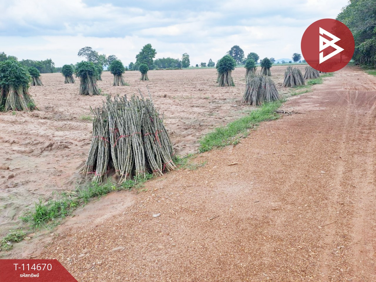 ขายที่ดิน เนื้อที่ 3 ไร่ 1 งาน 84 ตร.วา วัฒนานคร สระแก้ว 5