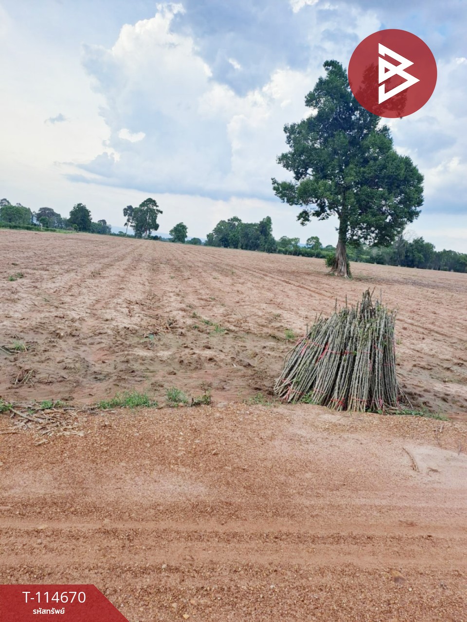 ขายที่ดิน เนื้อที่ 3 ไร่ 1 งาน 84 ตร.วา วัฒนานคร สระแก้ว 4