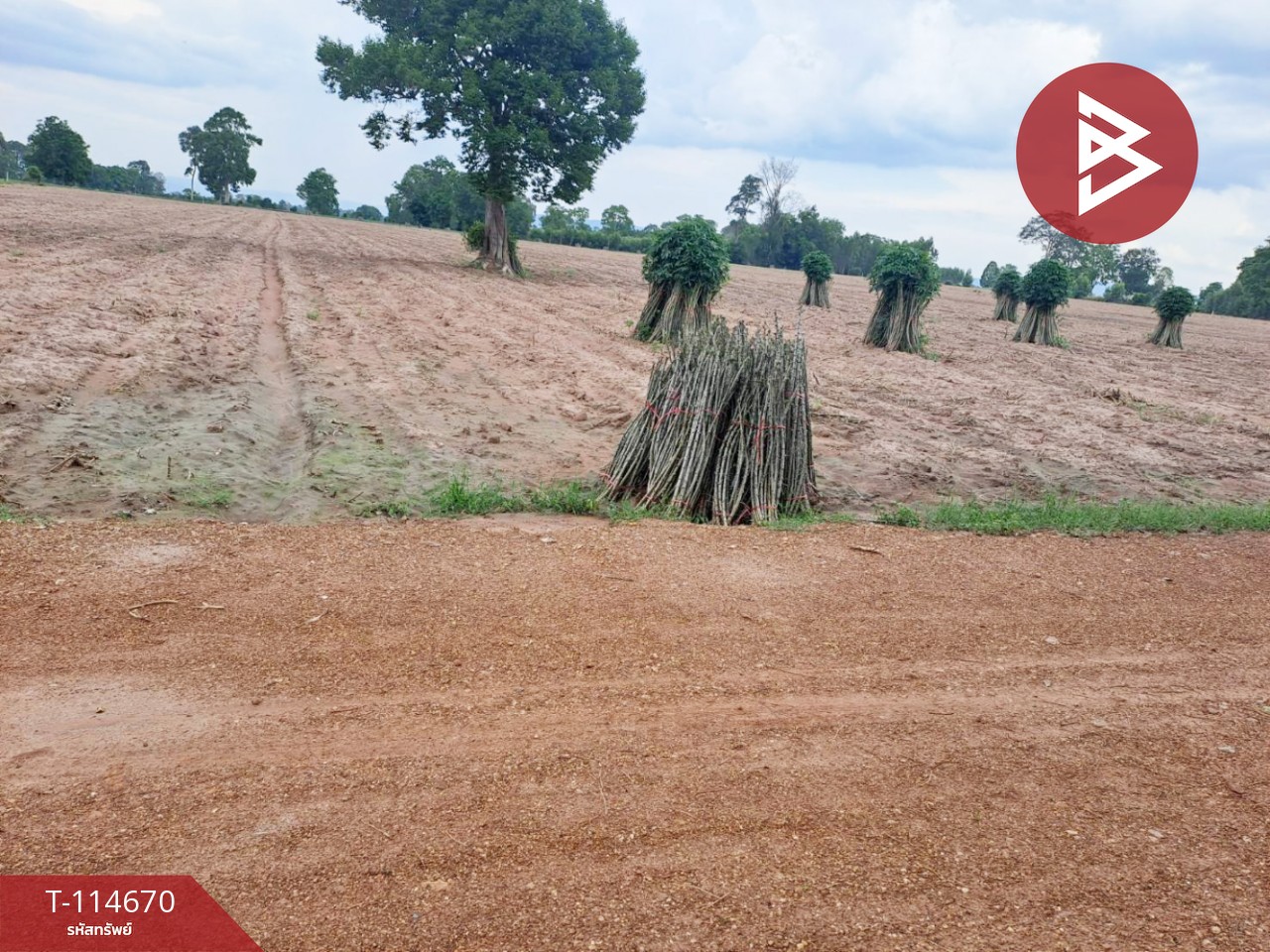 ขายที่ดิน เนื้อที่ 3 ไร่ 1 งาน 84 ตร.วา วัฒนานคร สระแก้ว 3