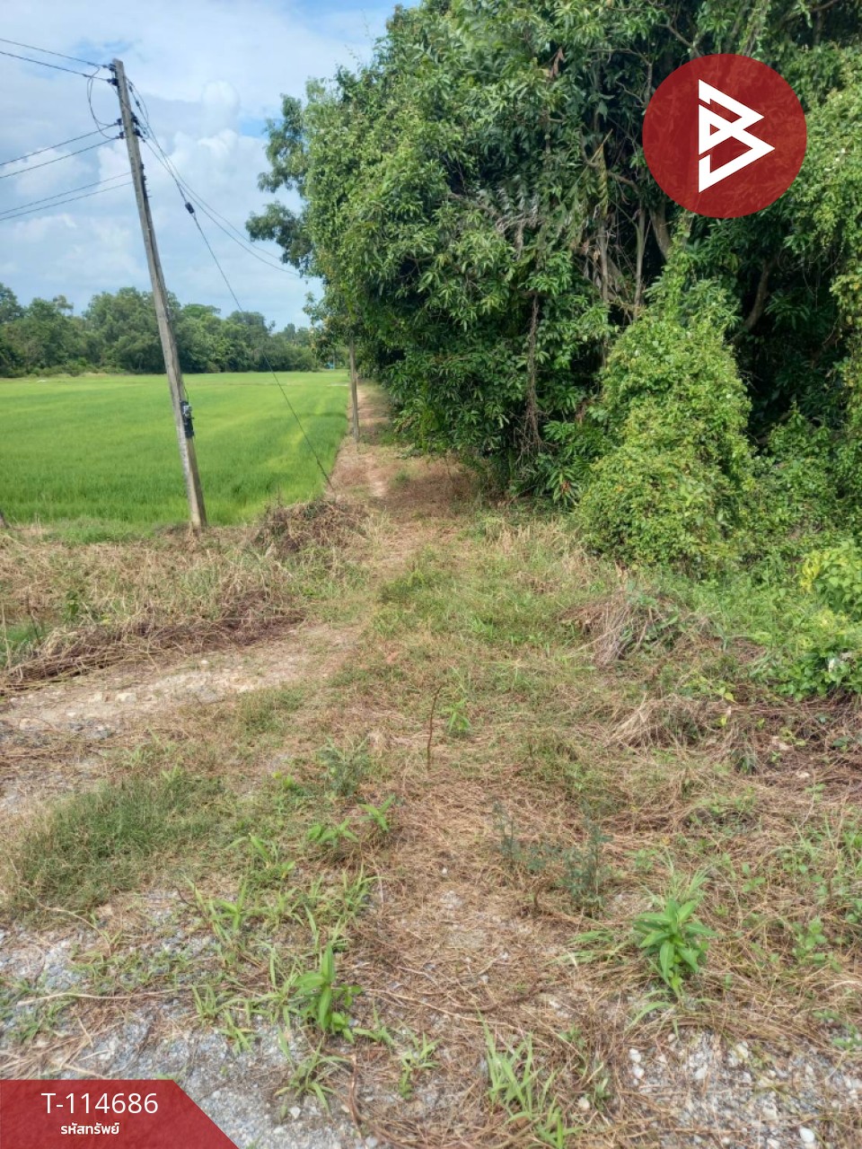 ขายที่ดิน เนื้อที่ 3 ไร่ ดงละคร นครนายก 2