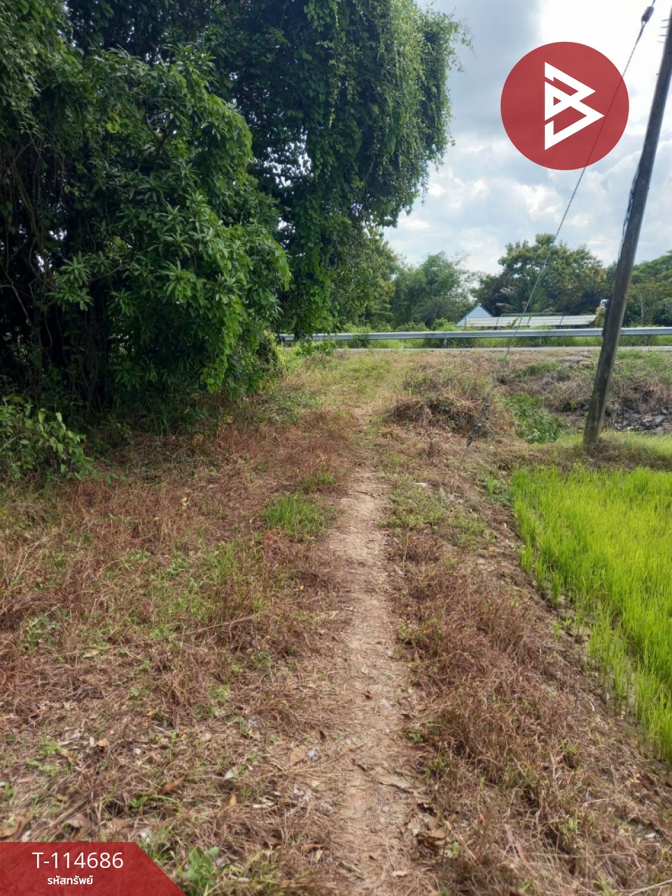 ขายที่ดิน เนื้อที่ 3 ไร่ ดงละคร นครนายก 6