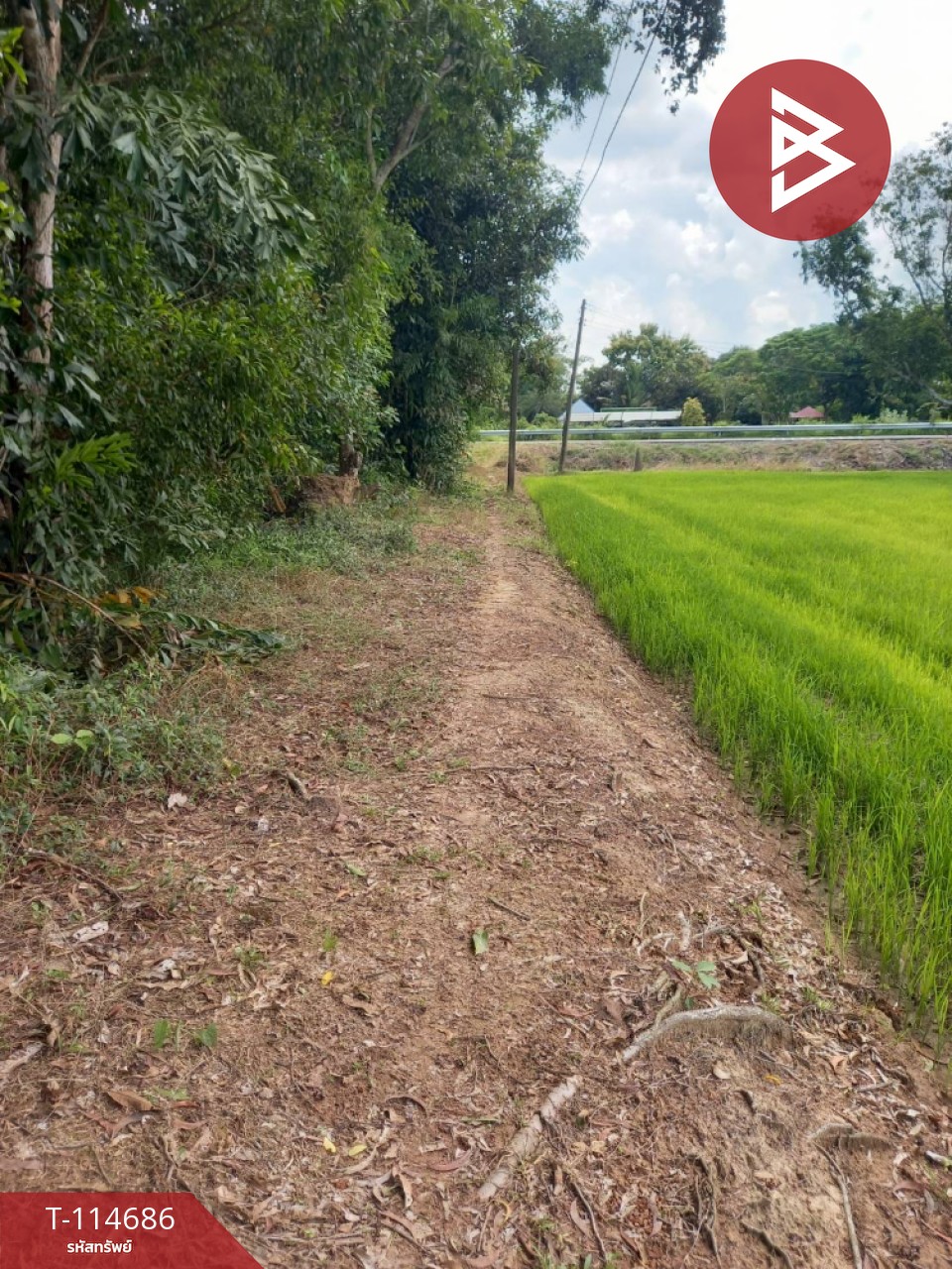 ขายที่ดิน เนื้อที่ 3 ไร่ ดงละคร นครนายก 5