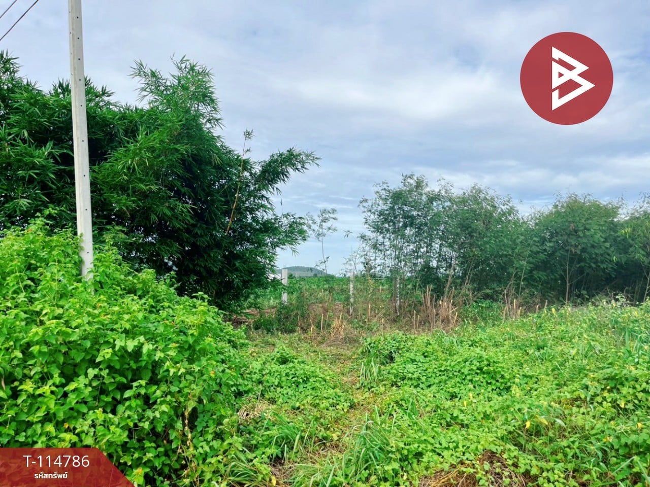 ขายที่ดิน เนื้อที่ 1 ไร่ ต.เลาขวัญ อ.เลาขวัญ  จ.กาญจนบุรี 1