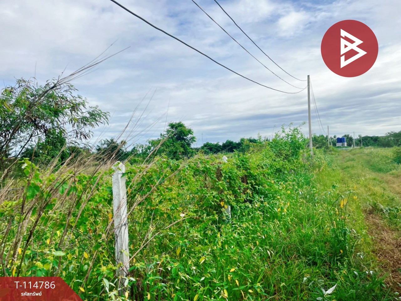 ขายที่ดิน เนื้อที่ 1 ไร่ ต.เลาขวัญ อ.เลาขวัญ  จ.กาญจนบุรี 3