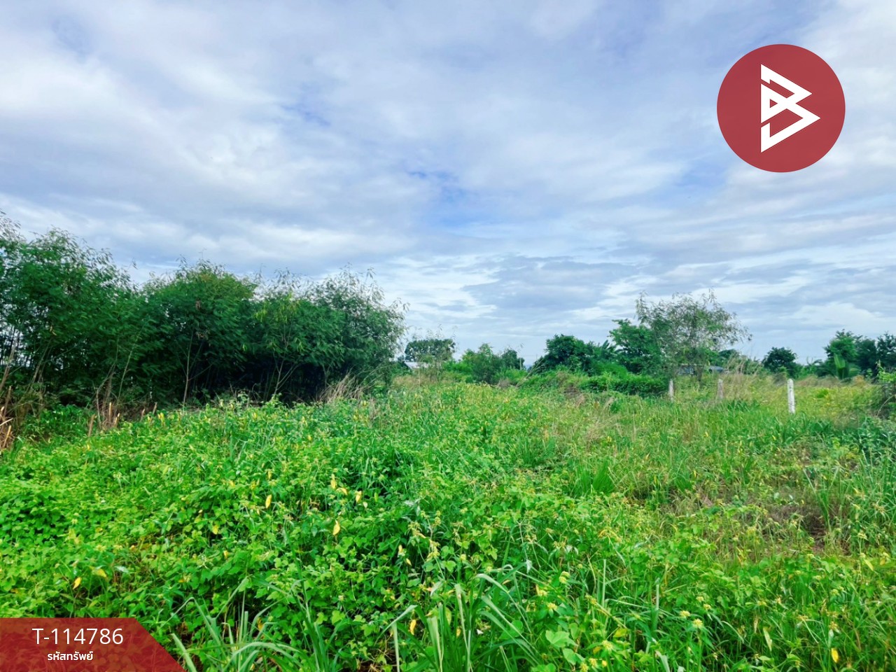 ขายที่ดิน เนื้อที่ 1 ไร่ ต.เลาขวัญ อ.เลาขวัญ  จ.กาญจนบุรี 2