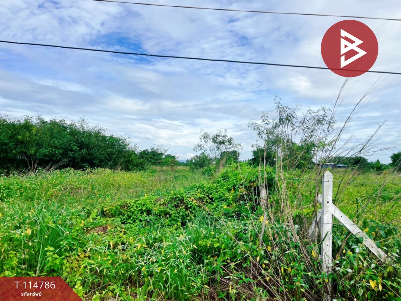 ขายที่ดิน เนื้อที่ 1 ไร่ ต.เลาขวัญ อ.เลาขวัญ  จ.กาญจนบุรี 6