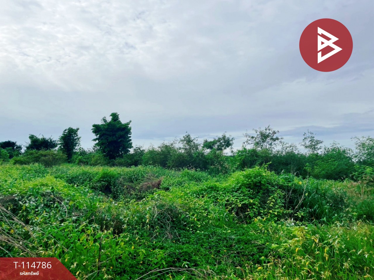 ขายที่ดิน เนื้อที่ 1 ไร่ ต.เลาขวัญ อ.เลาขวัญ  จ.กาญจนบุรี 5