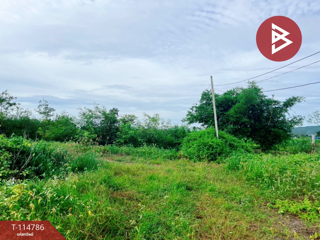 ขายที่ดิน เนื้อที่ 1 ไร่ ต.เลาขวัญ อ.เลาขวัญ  จ.กาญจนบุรี 4