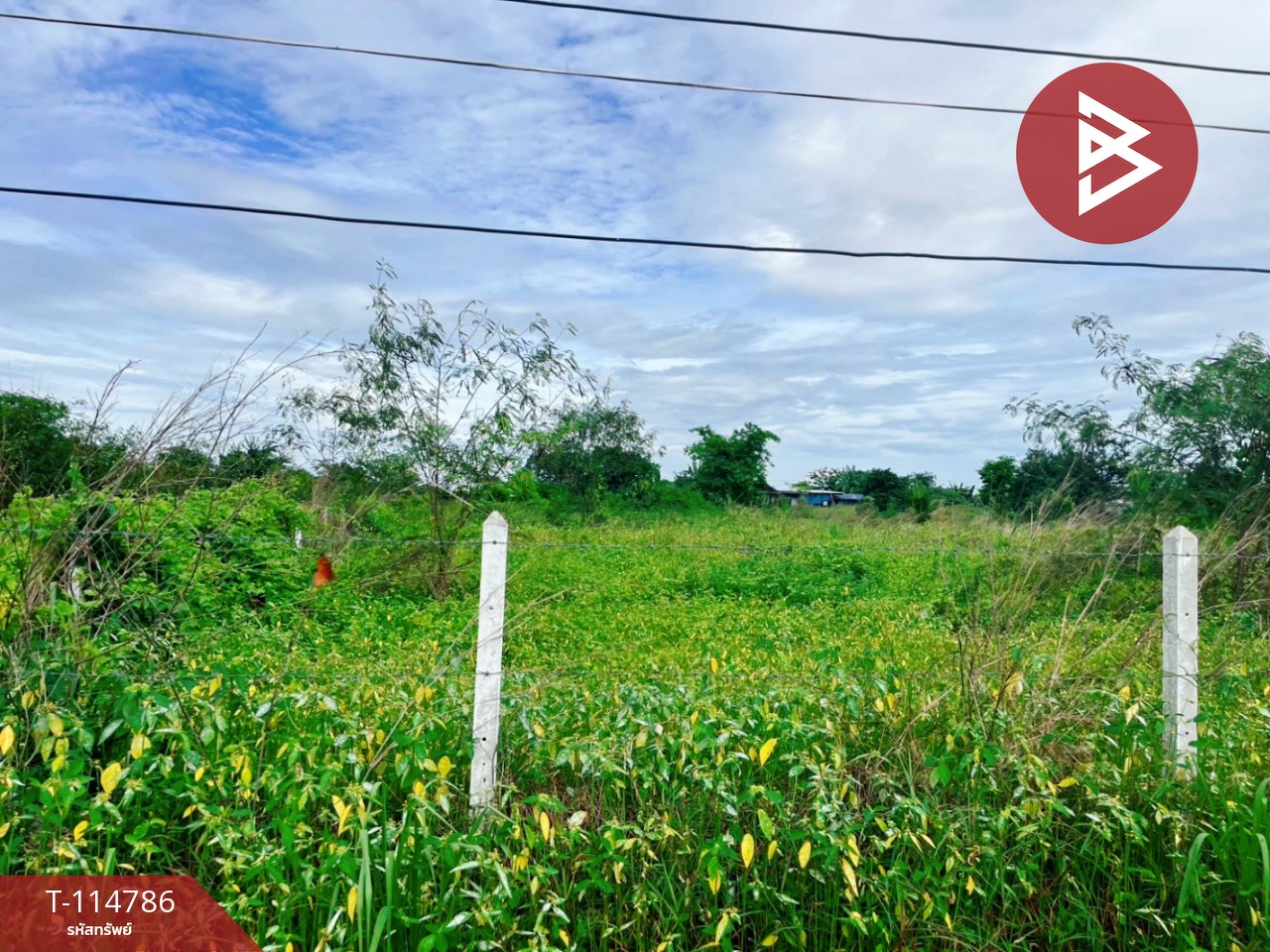 ขายที่ดิน เนื้อที่ 1 ไร่ ต.เลาขวัญ อ.เลาขวัญ  จ.กาญจนบุรี 7