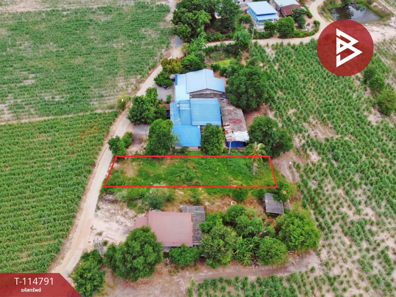 ขายที่ดิน เนื้อที่ 1 งาน 86 ตร.วา ต.บ่อกรุ อ.เดิมบางนางบวช จ.สุพรรณบุรี ราคาถูก 1