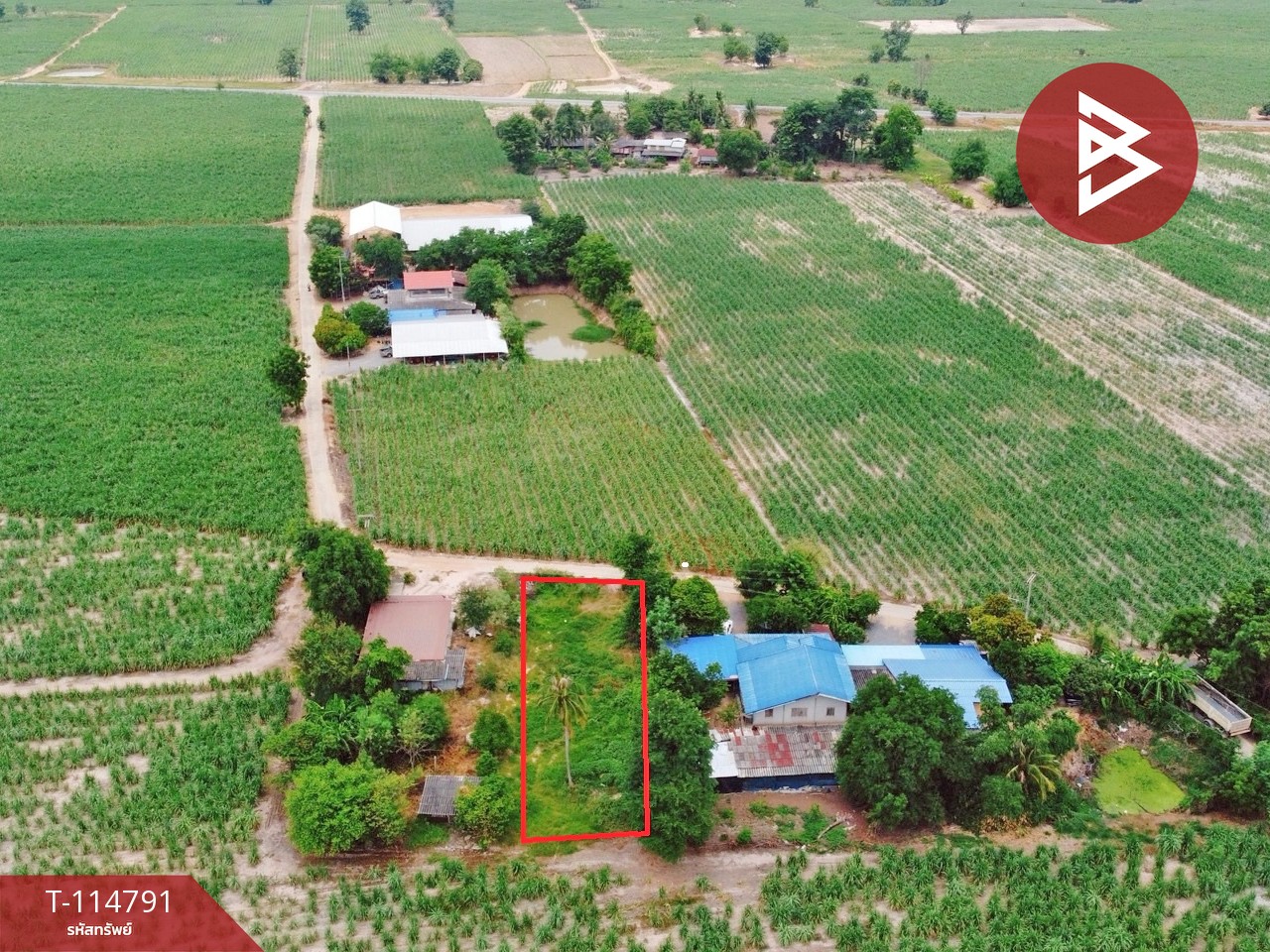 ขายที่ดิน เนื้อที่ 1 งาน 86 ตร.วา ต.บ่อกรุ อ.เดิมบางนางบวช จ.สุพรรณบุรี ราคาถูก 2