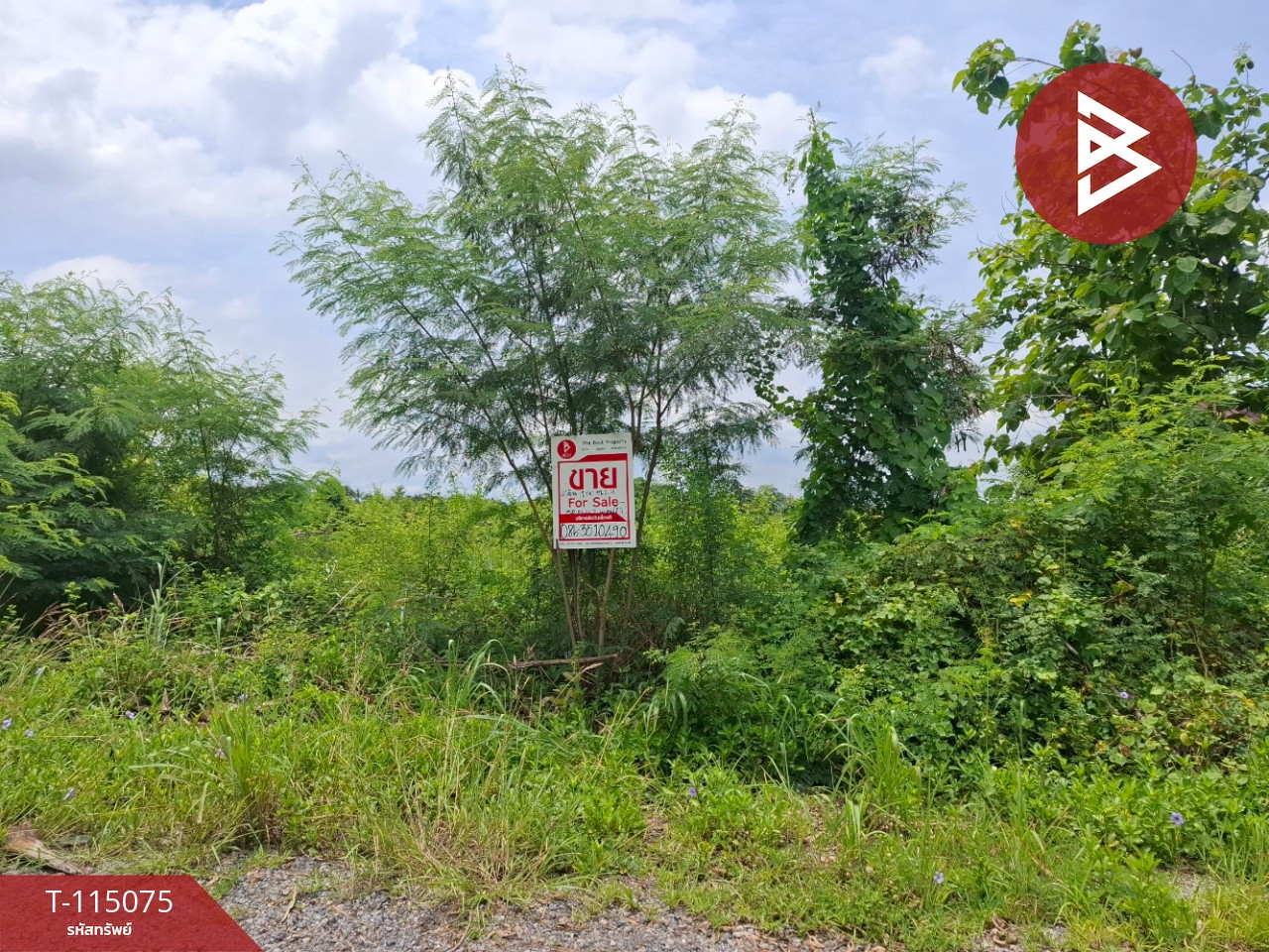 ขายที่ดิน เนื้อที่ 1 งาน บางน้ำเปรี้ยว ฉะเชิงเทรา 1