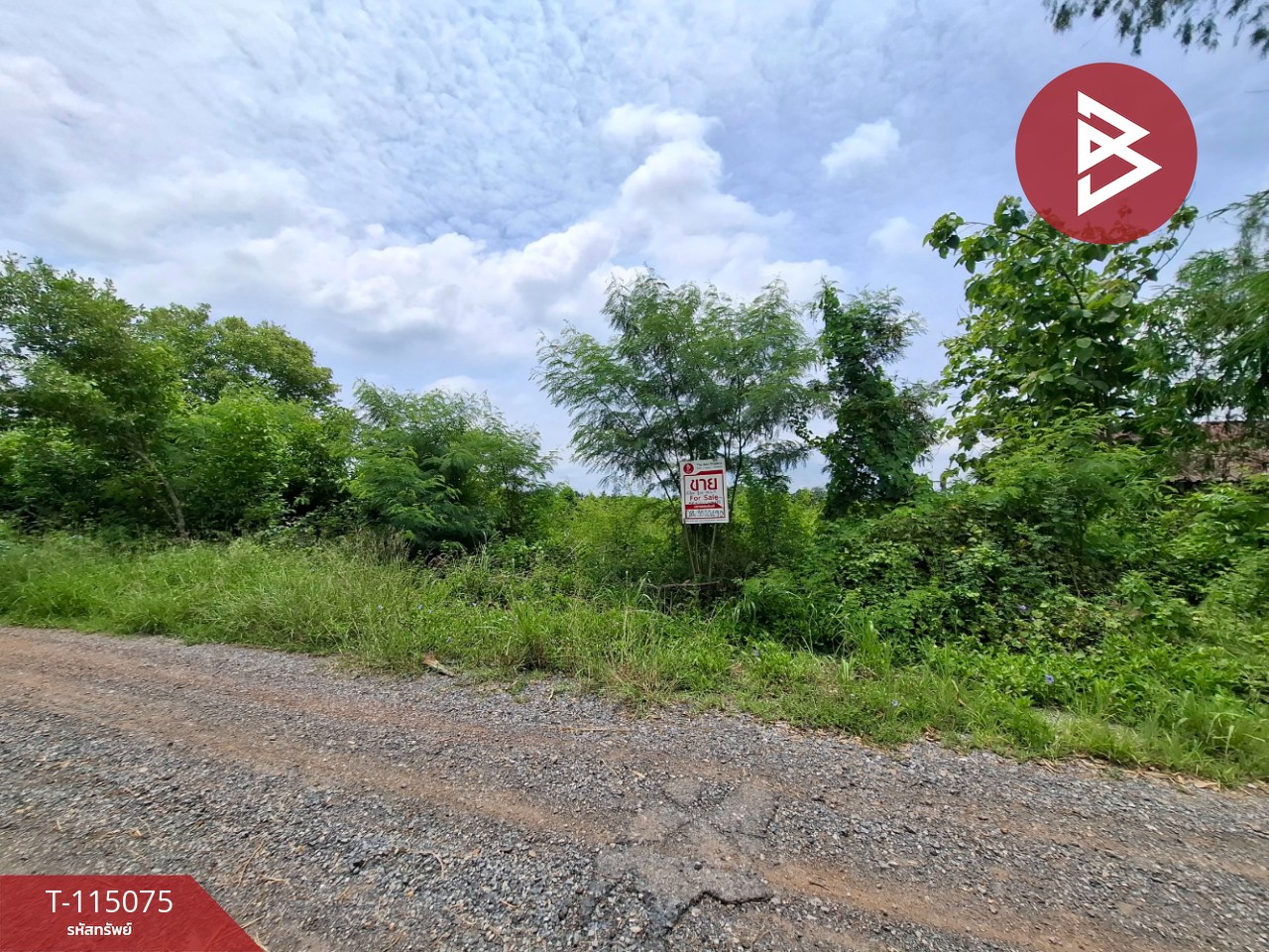 ขายที่ดิน เนื้อที่ 1 งาน บางน้ำเปรี้ยว ฉะเชิงเทรา 3