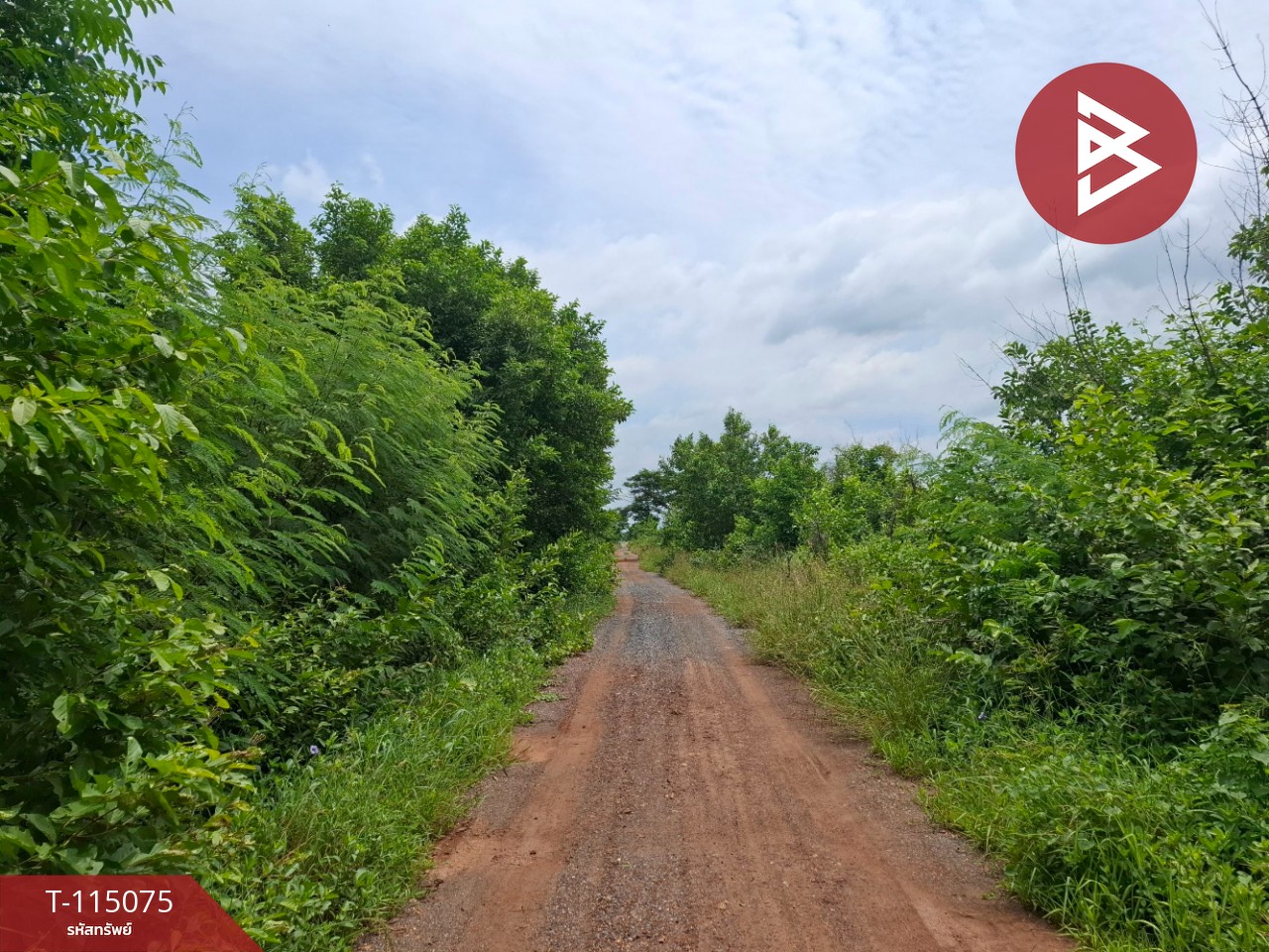 ขายที่ดิน เนื้อที่ 1 งาน บางน้ำเปรี้ยว ฉะเชิงเทรา 2