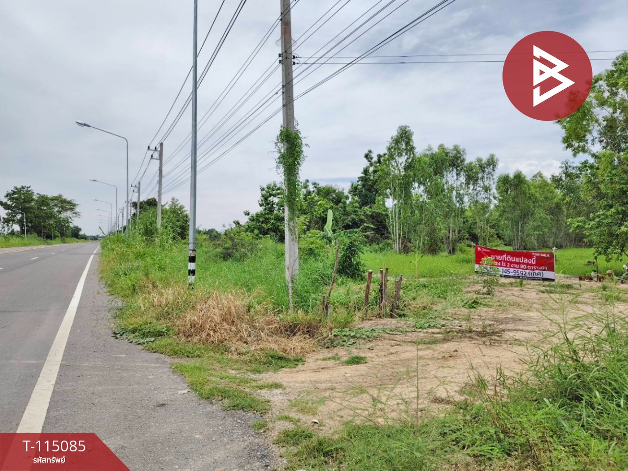 ขายที่ดิน เนื้อที่ 24 ไร่ 2 งาน 90 ตร.วา ลาดยาว นครสวรรค์ 10