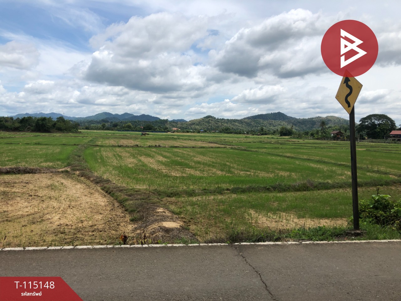 ขายที่ดิน เนื้อที่ 1 ไร่ 56 ตร.วา ลับแล อุตรดิตถ์ 1