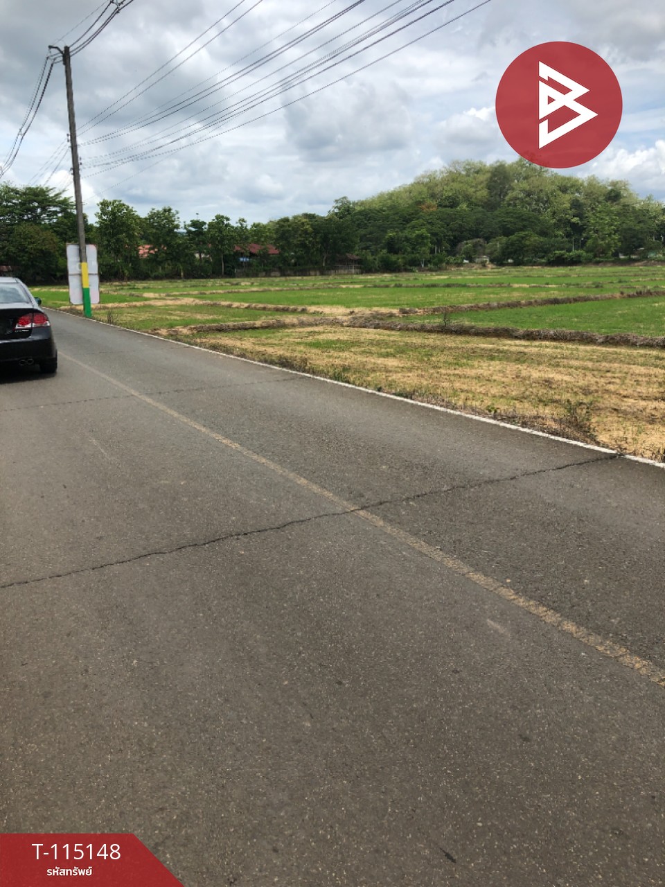 ขายที่ดิน เนื้อที่ 1 ไร่ 56 ตร.วา ลับแล อุตรดิตถ์ 2