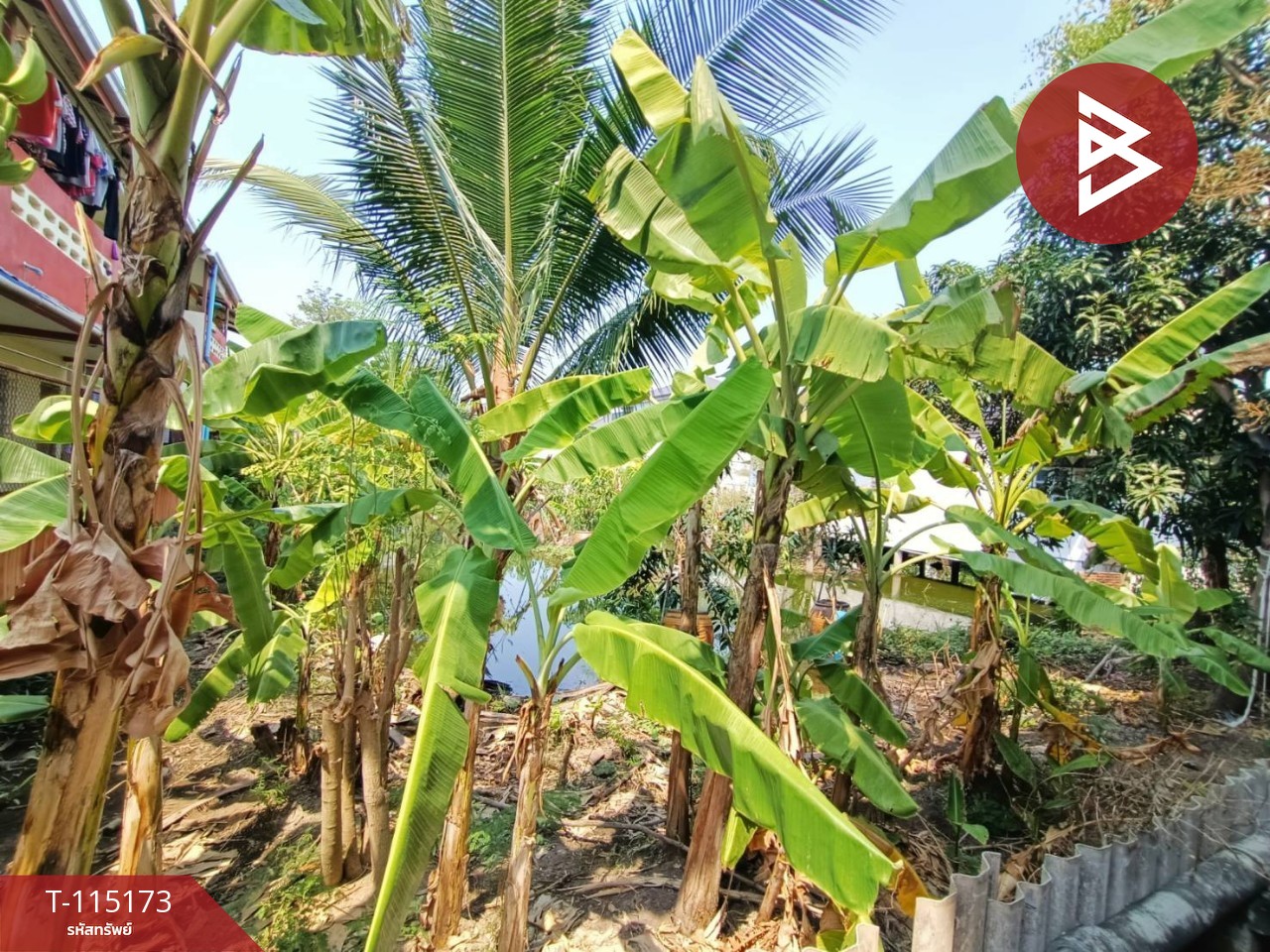 ขายบ้านเดี่ยวครึ่งปูนครึ่งไม้ 2 ชั้น เนื้อที่ 200 ตารางวา บางพึ่ง พระประแดง สมุทรปราการ 13