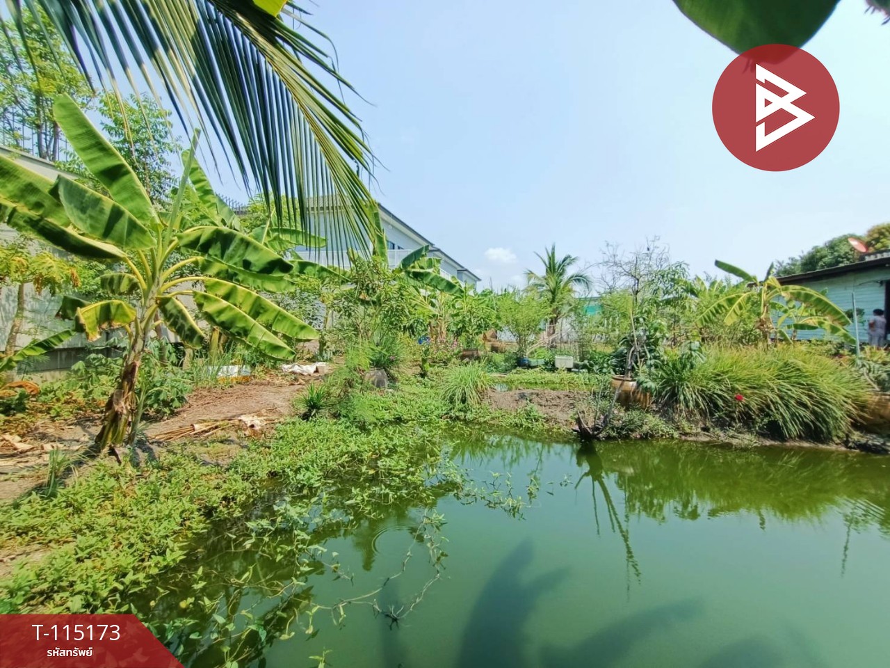 ขายบ้านเดี่ยวครึ่งปูนครึ่งไม้ 2 ชั้น เนื้อที่ 200 ตารางวา บางพึ่ง พระประแดง สมุทรปราการ 14