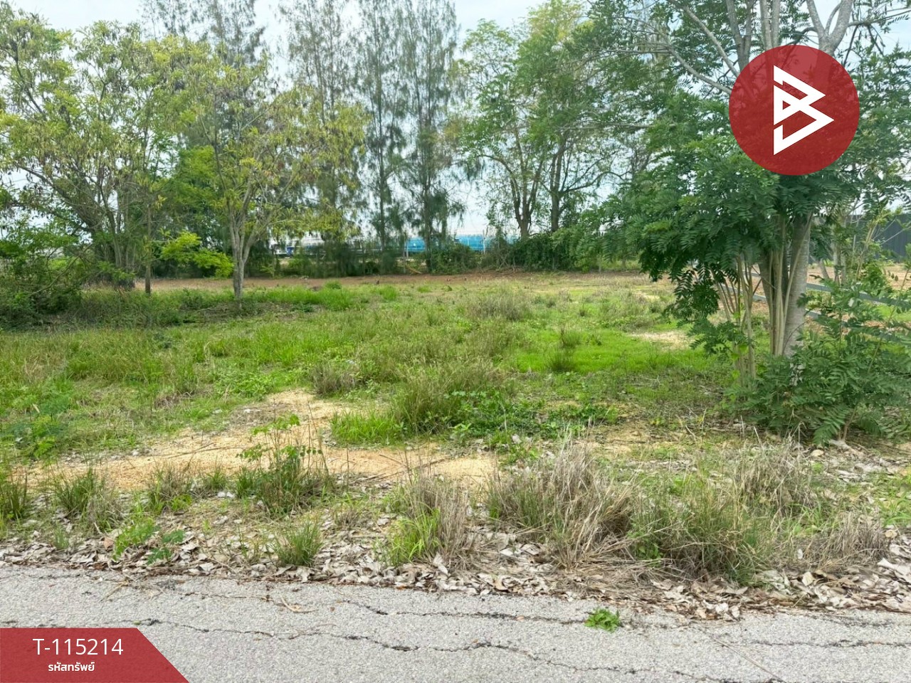 ขายที่ดินแปลงสวย โครงการบางชองมารีน่ารีสอร์ท เนื้อที่ 1 ไร่ เพชรบุรี ใกล้แหล่งชุมชน 2