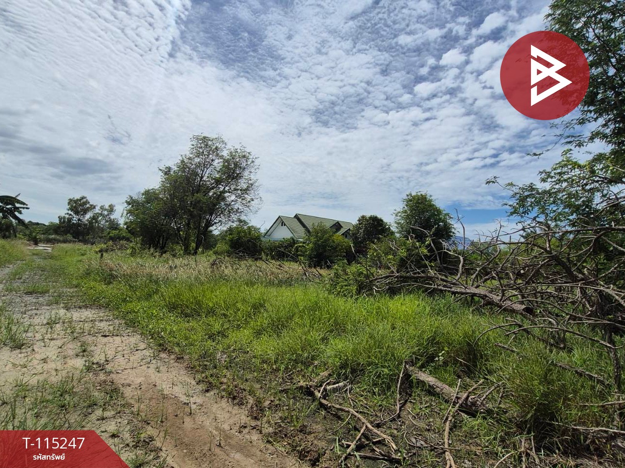 ขายที่ดินแปลงสวย เนื้อที่ 1 ไร่ ต.กระตีบ กำแพงแสน นครปฐม 4