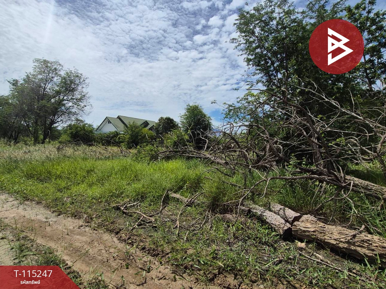 ขายที่ดินแปลงสวย เนื้อที่ 1 ไร่ ต.กระตีบ กำแพงแสน นครปฐม 2