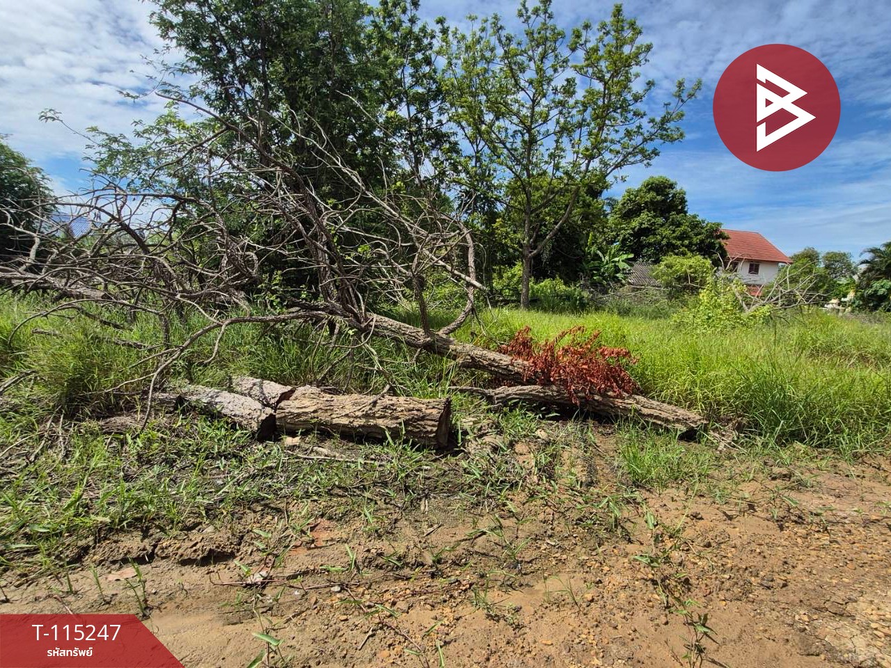 ขายที่ดินแปลงสวย เนื้อที่ 1 ไร่ ต.กระตีบ กำแพงแสน นครปฐม 3