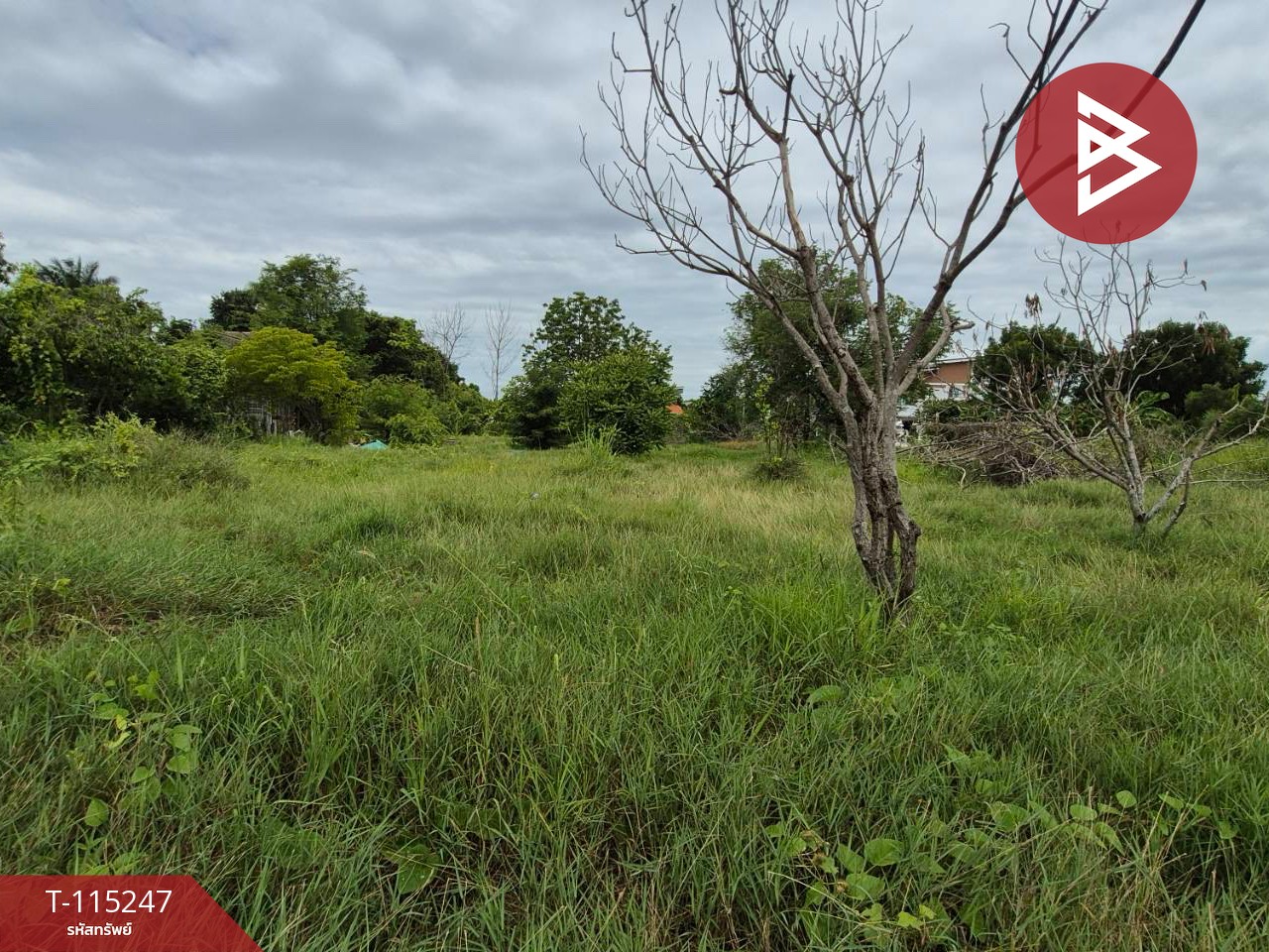 ขายที่ดินแปลงสวย เนื้อที่ 1 ไร่ ต.กระตีบ กำแพงแสน นครปฐม 9