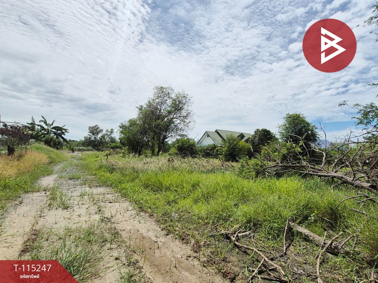 ขายที่ดินแปลงสวย เนื้อที่ 1 ไร่ ต.กระตีบ กำแพงแสน นครปฐม 1