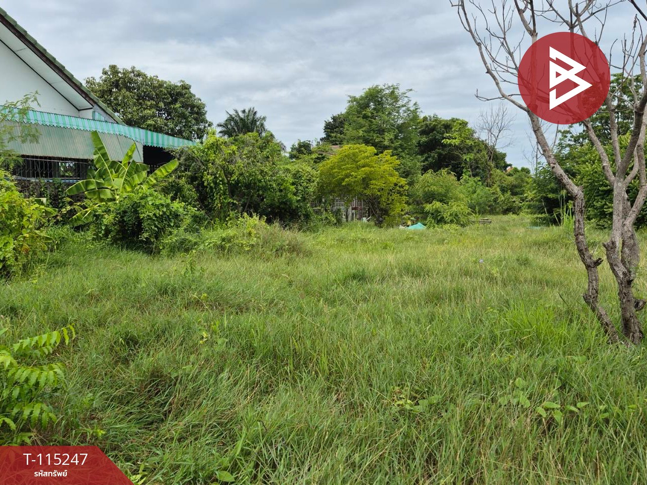 ขายที่ดินแปลงสวย เนื้อที่ 1 ไร่ ต.กระตีบ กำแพงแสน นครปฐม 8