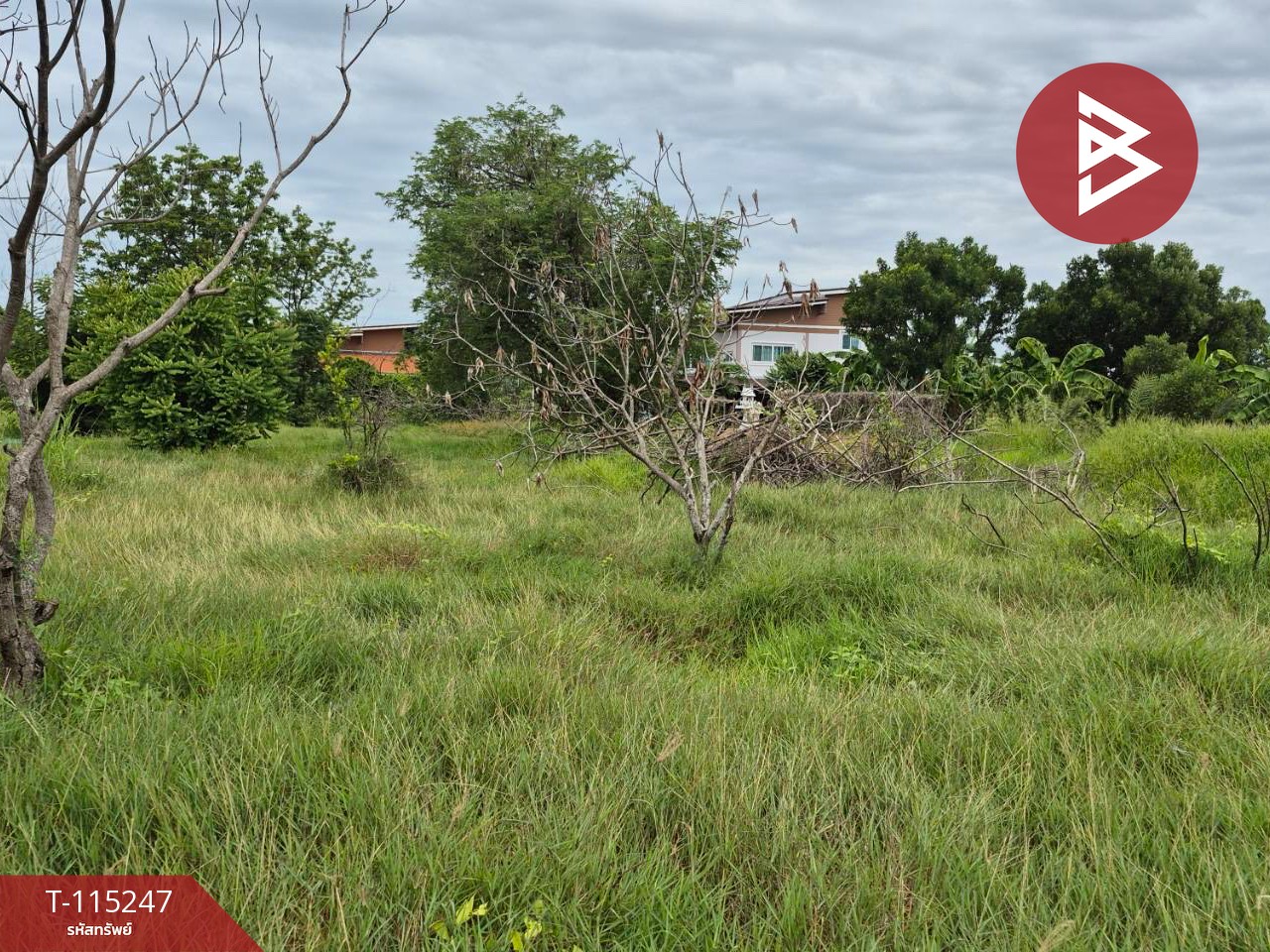 ขายที่ดินแปลงสวย เนื้อที่ 1 ไร่ ต.กระตีบ กำแพงแสน นครปฐม 6