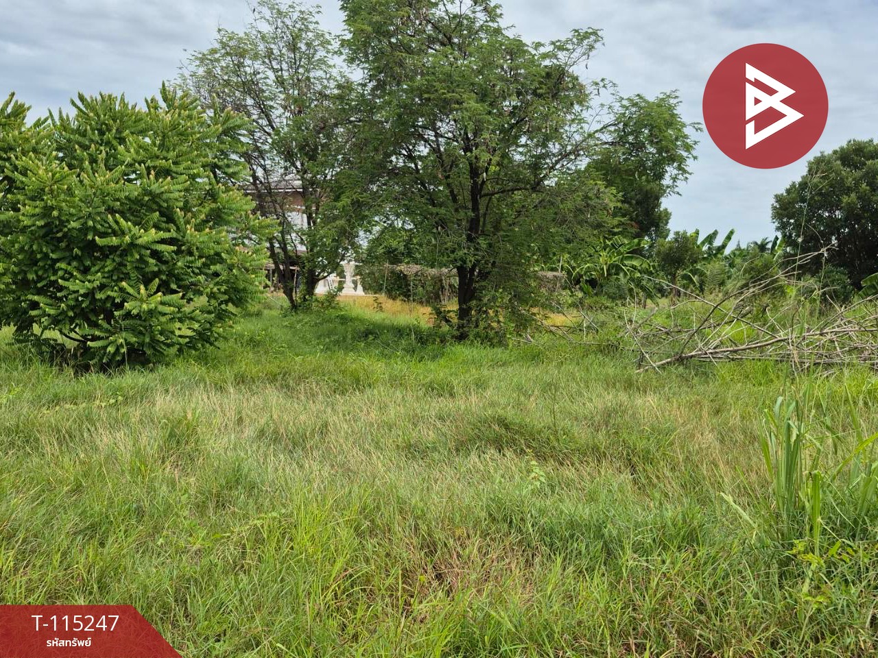 ขายที่ดินแปลงสวย เนื้อที่ 1 ไร่ ต.กระตีบ กำแพงแสน นครปฐม 5